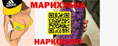 сатива Будённовск
