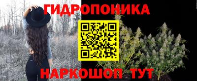 сатива Будённовск