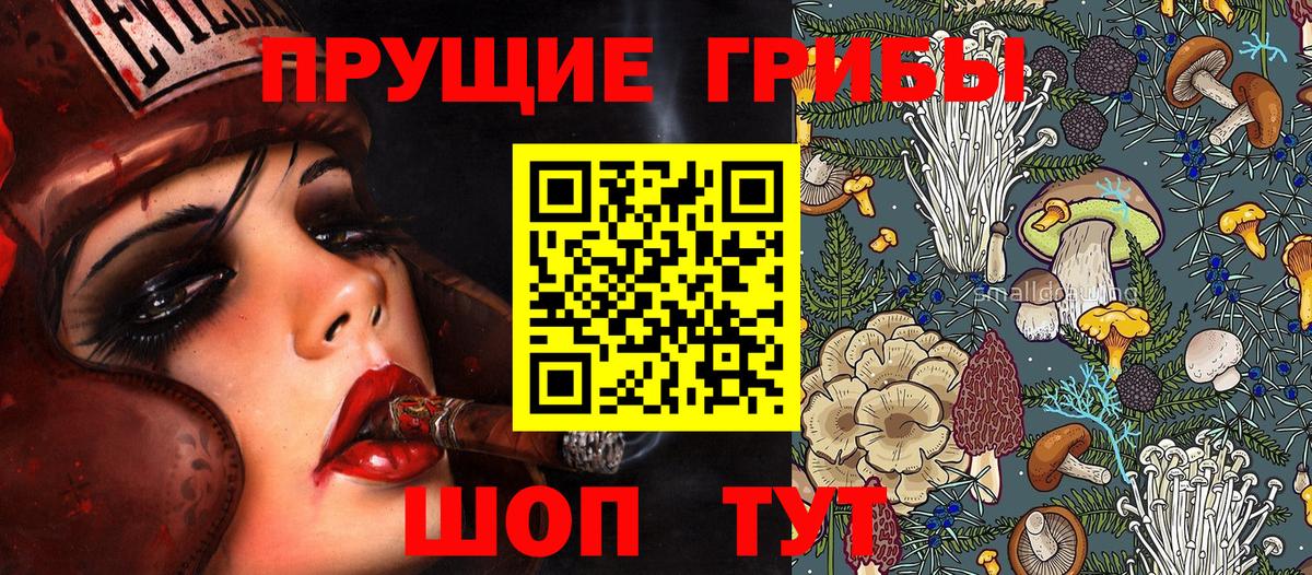 Псилоцибиновые грибы Cubensis Североморск
