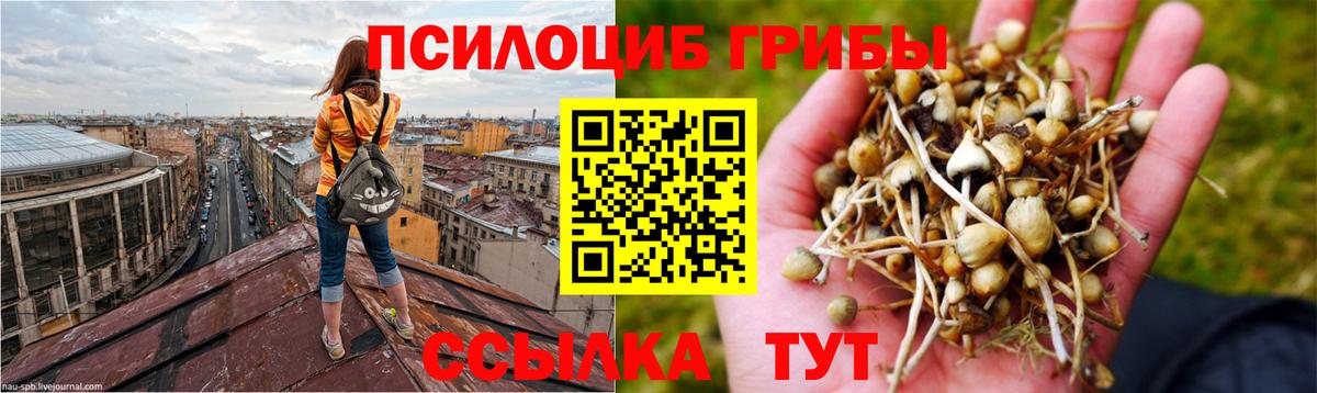 Галлюциногенные грибы Cubensis  Вход с VPN  Североморск 